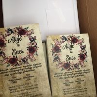 Mesiriye öksüz yorum resmi